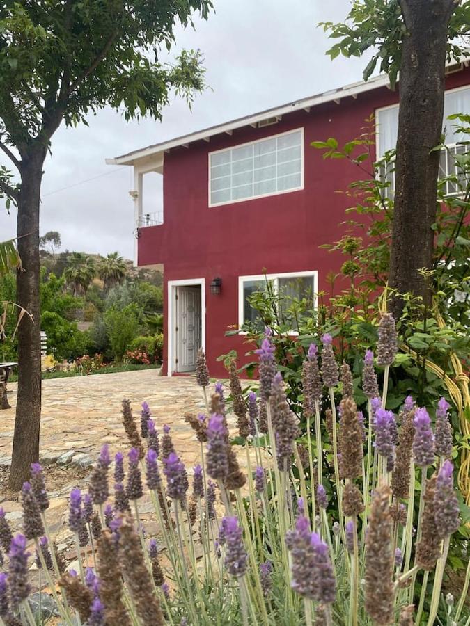 Villa De Coral Valle de Guadalupe Eksteriør bilde